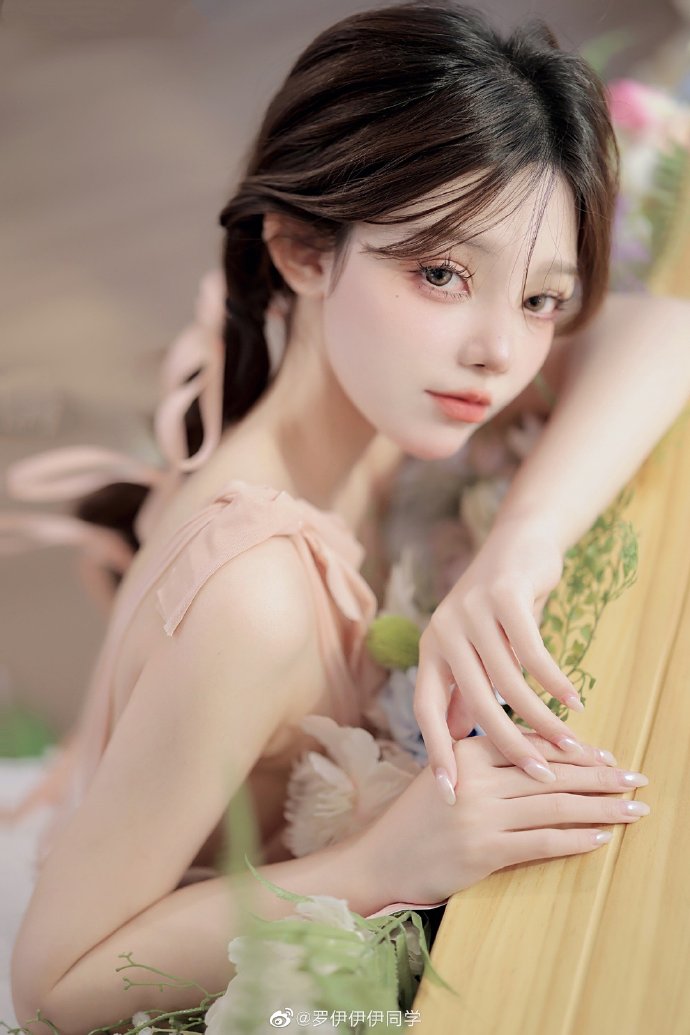 风骚律师